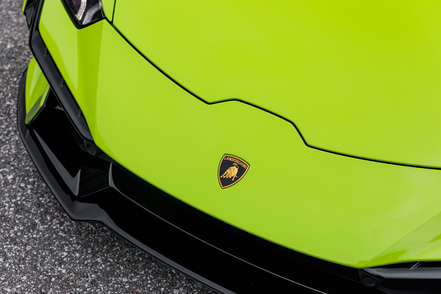 Green (Verde Scandal) 2024 Lamborghini Huracan Tecnica Coupe RWD Coupe Rear-Wheel Drive 7-Speed Automatic